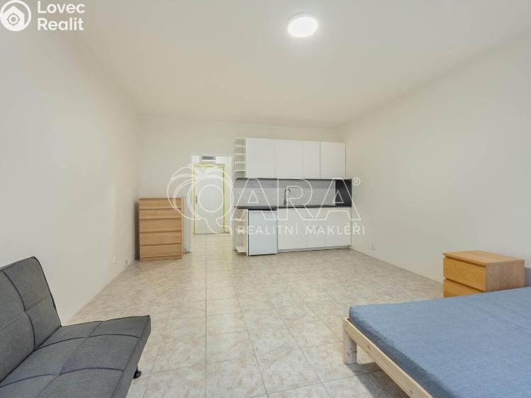 Pronájem bytu 1+KK Praha, Spojařů 1254 č. 5