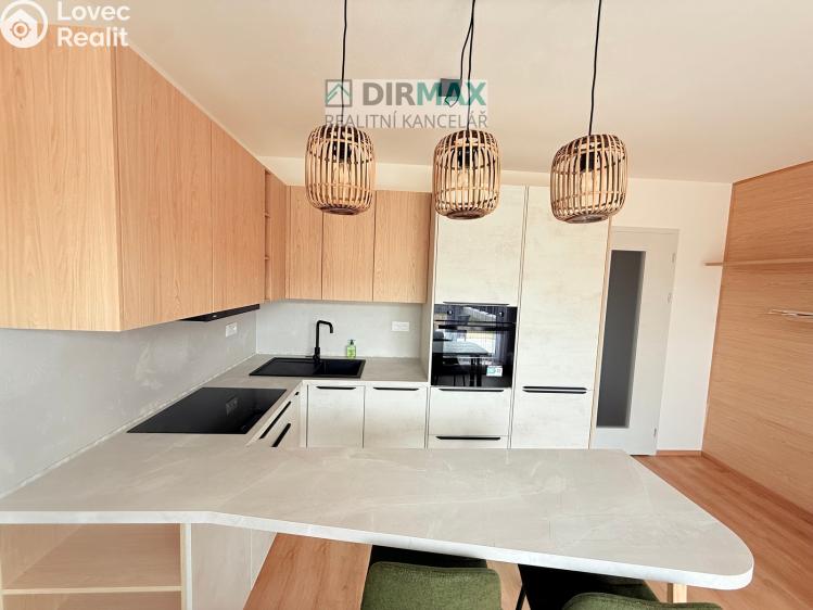 Pronájem bytu 1+KK Plzeň, Slovanská 2847/56 č. 3