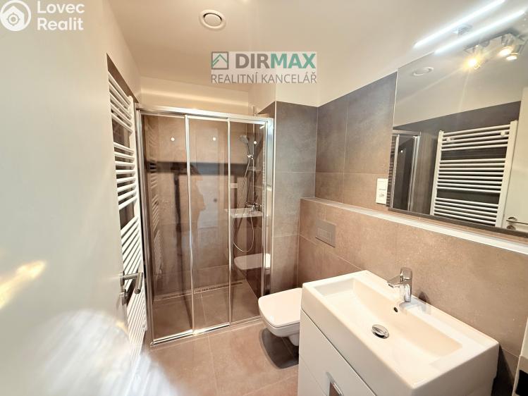 Pronájem bytu 1+KK Plzeň, Slovanská 2847/56 č. 5