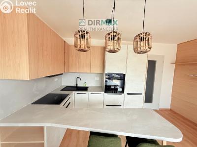 Pronájem bytu 1+KK Plzeň, Slovanská č. 3