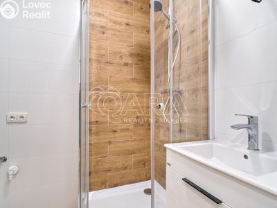 Rent apartment 3+1 Ostrava, Holasova č. 3