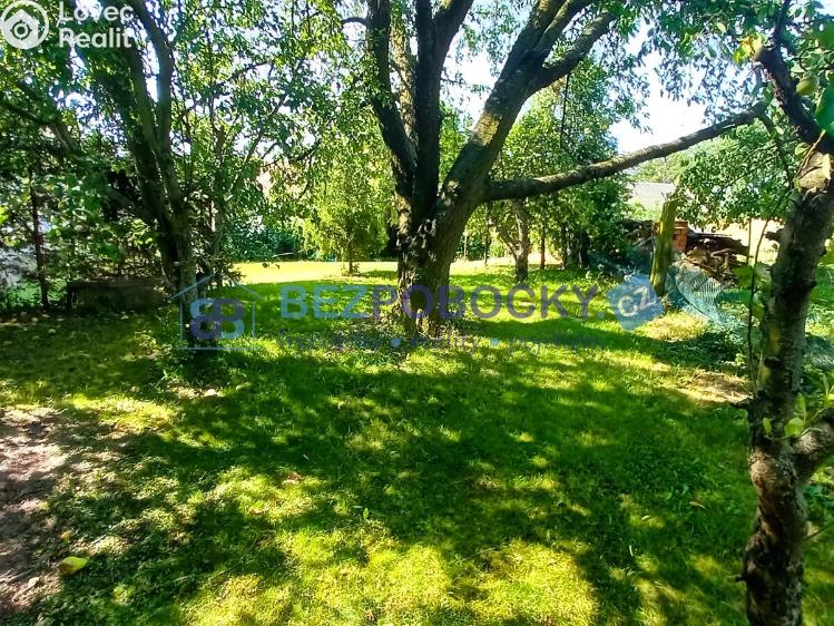 Pronájem bytu 3+1 Golčův Jeníkov č. 19