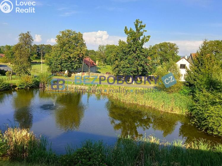 Pronájem bytu 3+1 Golčův Jeníkov č. 20