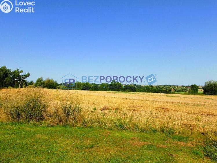 Pronájem bytu 3+1 Golčův Jeníkov č. 22