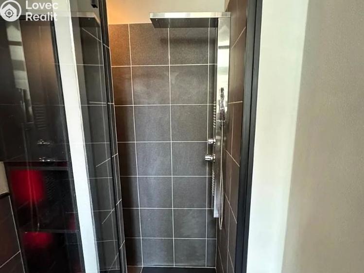 Rent apartment 1+KK Praha, U libeňského pivovaru č. 10