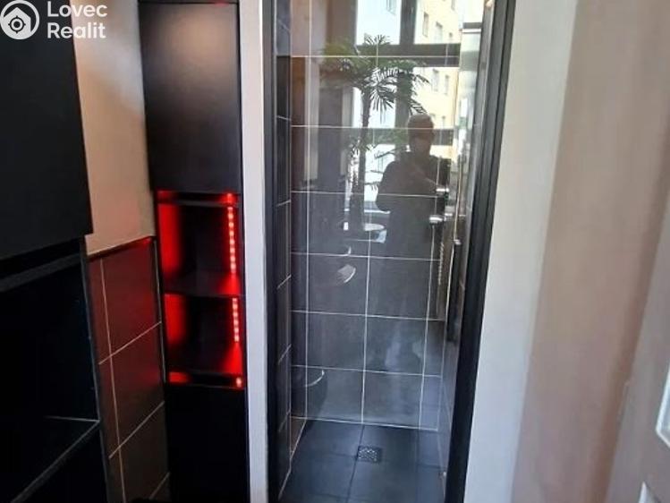 Rent apartment 1+KK Praha, U libeňského pivovaru č. 14