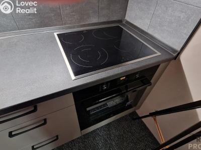 Rent apartment 1+KK Praha, U libeňského pivovaru č. 6