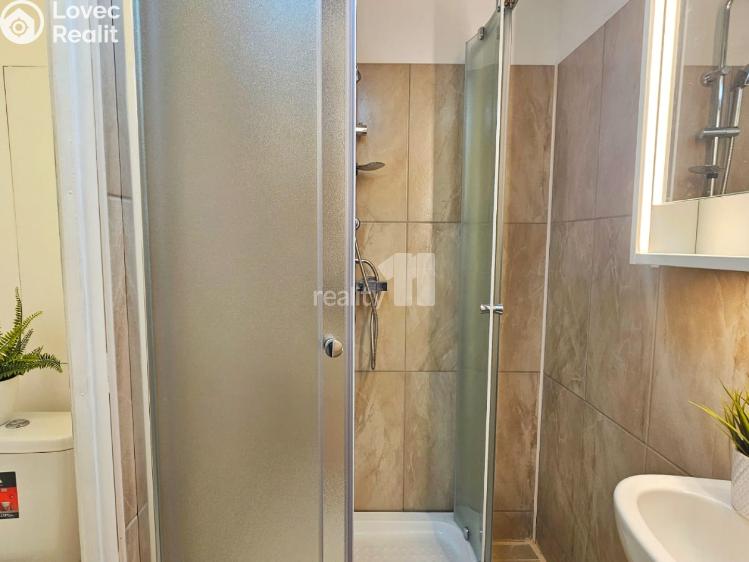 Rent apartment 1+1 Kolín, Dělnická č. 10