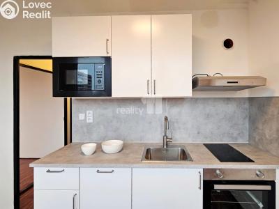 Rent apartment 1+1 Kolín, Dělnická č. 1