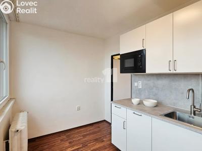Rent apartment 1+1 Kolín, Dělnická č. 4