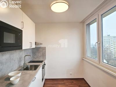 Rent apartment 1+1 Kolín, Dělnická č. 5