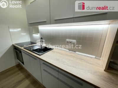 Rent apartment 2+KK Praha 3, Biskupcova č. 1