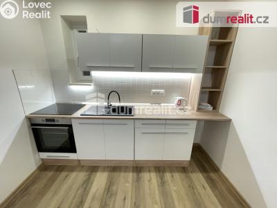 Rent apartment 2+KK Praha 3, Biskupcova č. 2