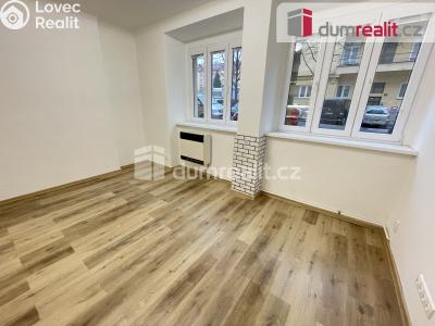 Rent apartment 2+KK Praha 3, Biskupcova č. 3