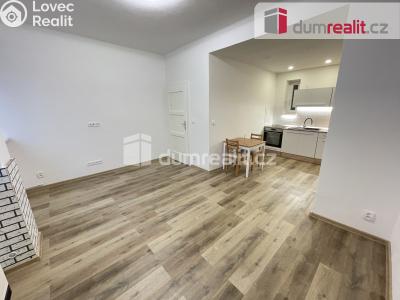 Rent apartment 2+KK Praha 3, Biskupcova č. 5