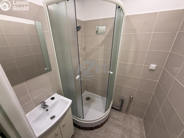 Rent apartment 1+1 Karviná, Sovova č. 8