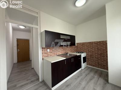 Rent apartment 1+1 Karviná, Sovova č. 2