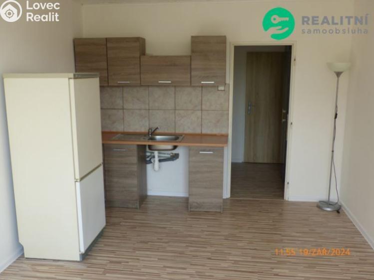 Rent apartment 1+KK Most, Františka Malíka č. 2