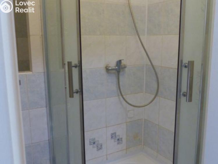 Rent apartment 1+KK Most, Františka Malíka č. 7