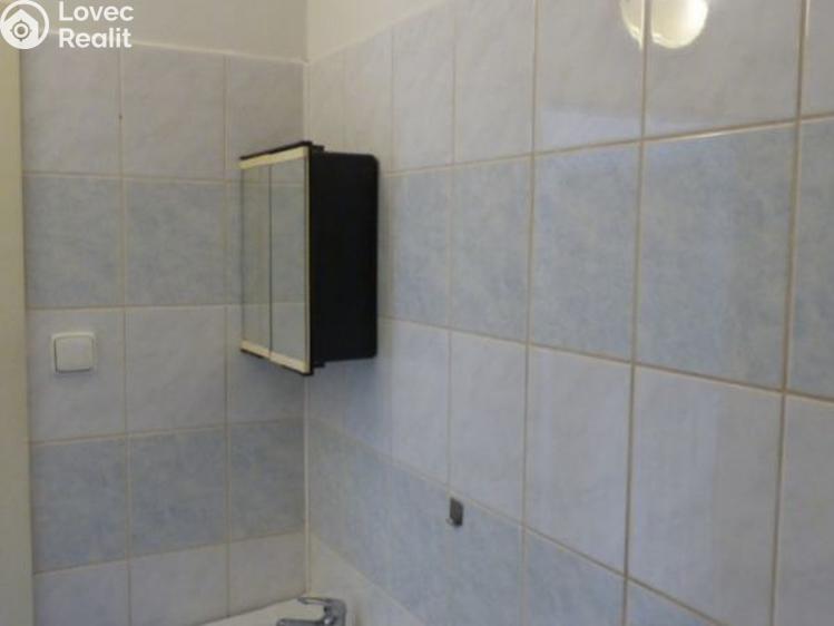 Rent apartment 1+KK Most, Františka Malíka č. 8