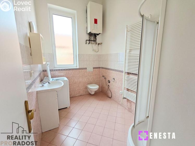 Pronájem bytu 1+KK Tursko, Ke Statkům 16 č. 3