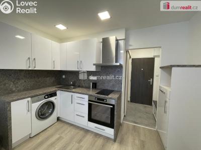 Pronájem bytu 1+KK Opava, Ratibořská č. 1