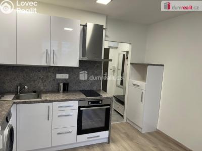 Pronájem bytu 1+KK Opava, Ratibořská č. 6