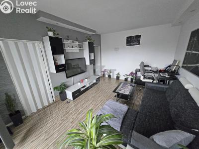 Prodej bytu 2+1 Ostrava, Aleše Hrdličky č. 3