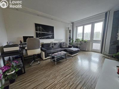 Prodej bytu 2+1 Ostrava, Aleše Hrdličky č. 4