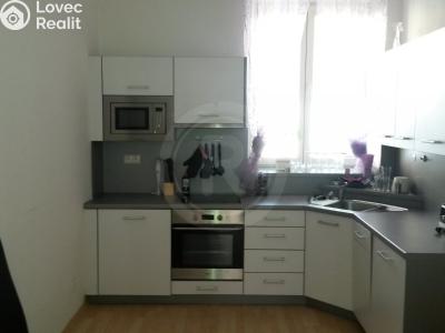 Pronájem bytu 1+1 České Budějovice, Nová č. 1