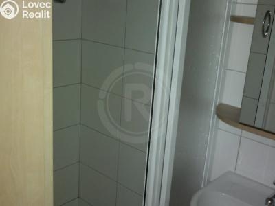 Pronájem bytu 1+1 České Budějovice, Nová č. 5