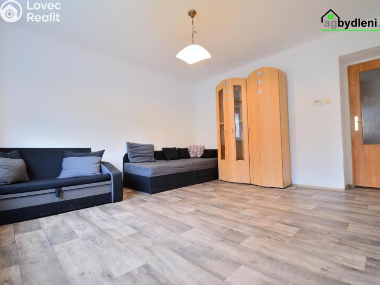 Prodej bytu 2+1 Bor, Vítězná č. 1