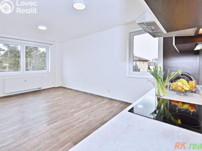 Pronájem bytu 2+KK Praha, Klokotská č. 4