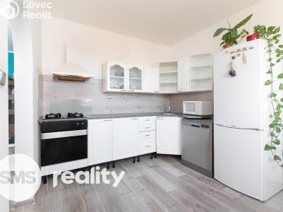 Prodej bytu 4+1 Kopřivnice, Francouzská č. 6