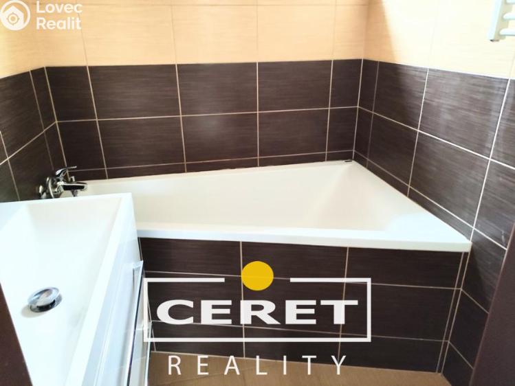 Pronájem bytu 3+1 Žatec, Arbesova 1737 č. 2