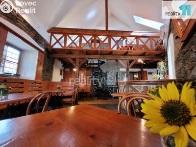 Pronájem restaurace Kolín, Havelcova č. 1