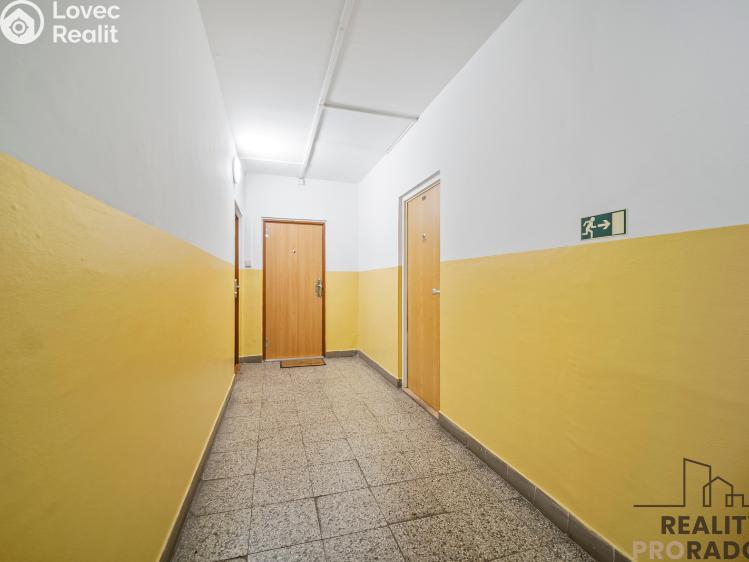 Pronájem bytu 1+KK Pardubice, Jana Zajíce č. 7