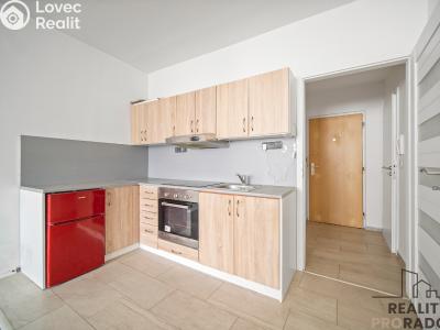 Pronájem bytu 1+KK Pardubice, Jana Zajíce č. 1