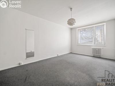 Pronájem bytu 1+KK Pardubice, Jana Zajíce č. 3