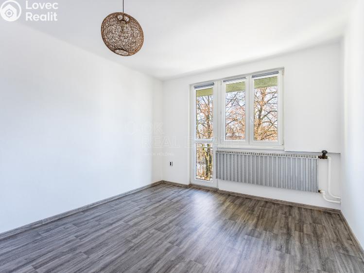 Pronájem bytu 4+1 Rodná č. 4