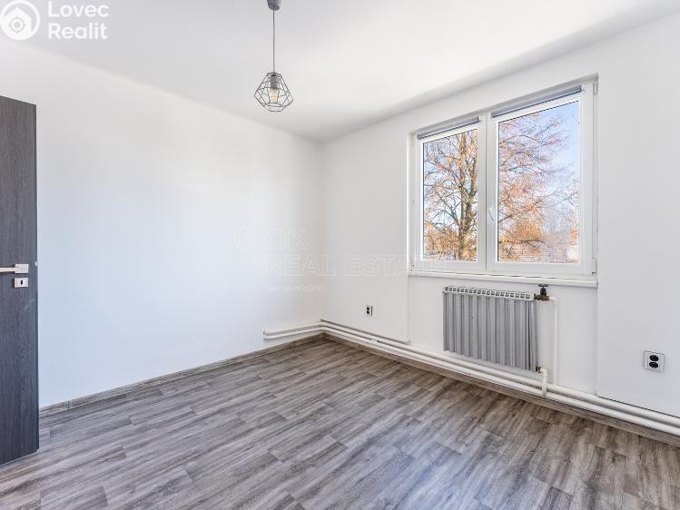 Pronájem bytu 4+1 Rodná č. 10