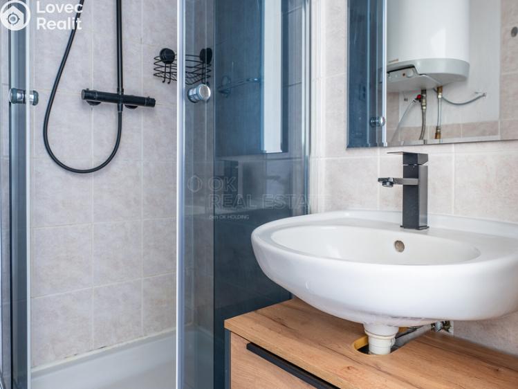 Pronájem bytu 4+1 Rodná č. 19