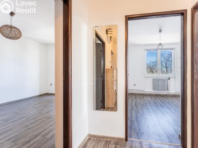 Pronájem bytu 4+1 Rodná č. 1
