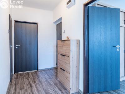 Pronájem bytu 4+1 Rodná č. 2