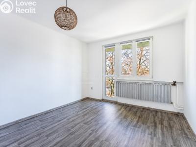 Pronájem bytu 4+1 Rodná č. 4