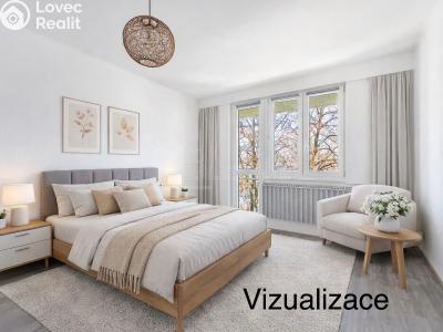 Pronájem bytu 4+1 Rodná č. 4