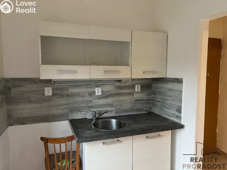 Rent apartment 1+1 Chabařovice, V Aleji č. 2