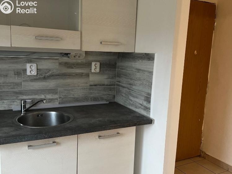 Rent apartment 1+1 Chabařovice, V Aleji č. 3