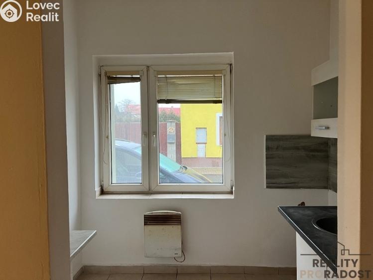 Rent apartment 1+1 Chabařovice, V Aleji č. 4