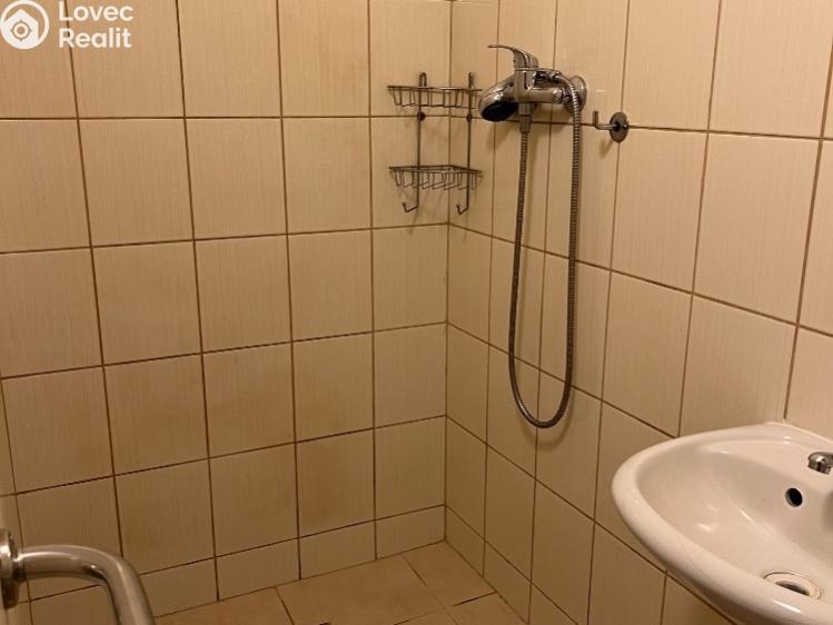 Rent apartment 1+1 Chabařovice, V Aleji č. 9